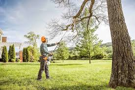 Best Hazardous Tree Removal  in Amerin Nyon, CA